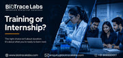 Internship vs Short-Term Training: Which Should Life Science Students Choose