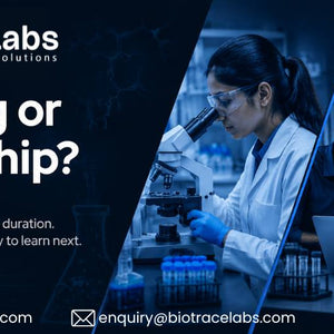 Internship vs Short-Term Training: Which Should Life Science Students Choose
