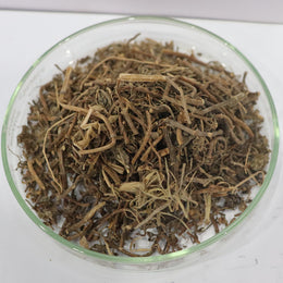 Brahmi