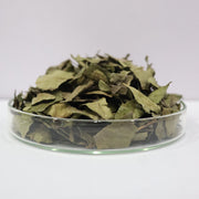 Curry Leaves