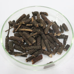Long Pepper 