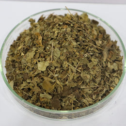 Moringa Leaf