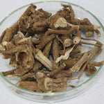 Punarnava