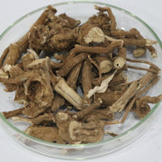 Punarnava