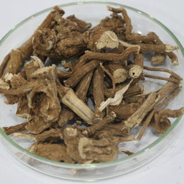 Punarnava