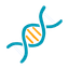 icon_policy