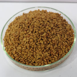 Fenugreek Seed (Trigonella foenum-graecum) botanical reference material