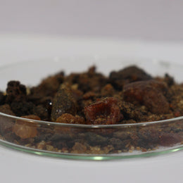 Guggul Oleo-Gum-Resin (Commiphora wightii) botanical reference material